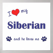 I Love My Siberian (Male Cat) Print