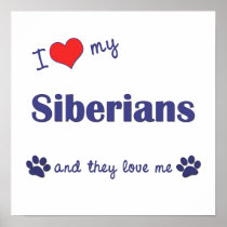 I Love My Siberians (Multiple Cats) Posters