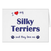 I Love My Silky Terriers (Multiple Dogs) Cards