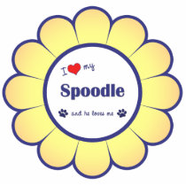 I Love My Spoodle (Male Dog) Acrylic Cut Outs