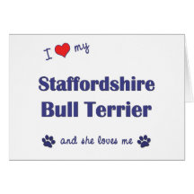 I Love My Staffordshire Bull Terrier (Female Dog) Greeting Cards
