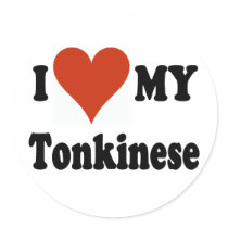 I Love My Tonkinese Cat Gifts and Apparel Stickers