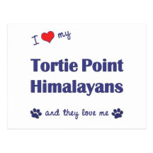 I Love My Tortie Point Himalayans (Multiple Cats) Post Cards