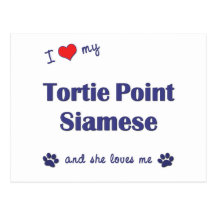 I Love My Tortie Point Siamese (Female Cat) Post Cards