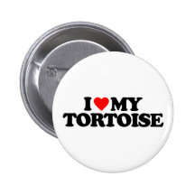 I LOVE MY TORTOISE PINBACK BUTTON
