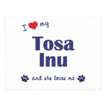 I Love My Tosa Inu (Female Dog) Postcards