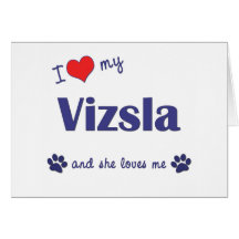 I Love My Vizsla (Female Dog) Card