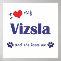 I Love My Vizsla (Female Dog) Poster