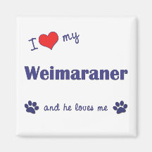 I Love My Weimaraner (Male Dog) Magnets