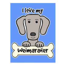I Love My Weimaraner Postcard