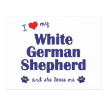 I Love My White German Shepherd (Female Dog) Post Card