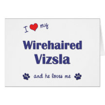 I Love My Wirehaired Vizsla (Male Dog) Greeting Card