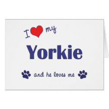 I Love My Yorkie (Male Dog) Greeting Cards