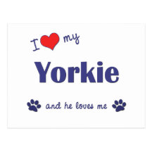I Love My Yorkie (Male Dog) Postcards
