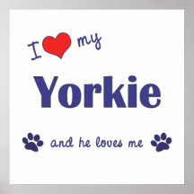 I Love My Yorkie (Male Dog) Print