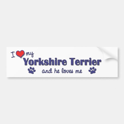 I Love My Yorkshire Terrier (Male Dog) Bumper Sticker