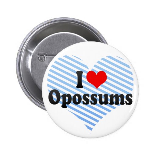 I Love Opossums Pinback Buttons