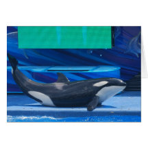 I Love Orcas  Greeting Cards