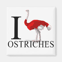 I Love Ostriches Magnets
