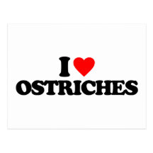 I LOVE OSTRICHES POSTCARDS
