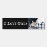 I Love Owls Bumper Sticker