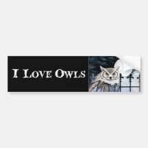 I Love Owls Bumper Sticker