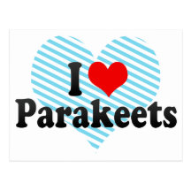 I Love Parakeets Postcards