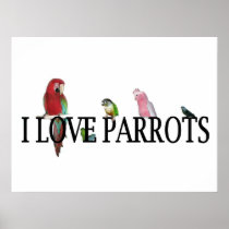 I Love Parrots Print