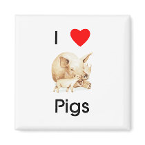 I love pigs Magnet