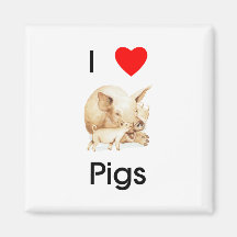 I love pigs Magnet