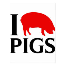 I Love Pigs Post Card