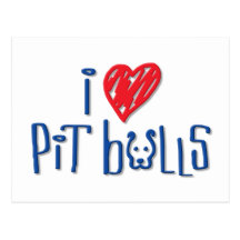 I Love Pit Bulls Post Card