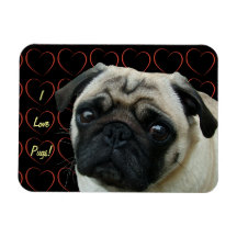 I Love Pugs with Hearts Flexible Magnet