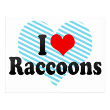 I Love Raccoons Postcards