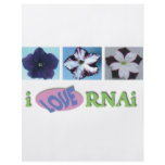 I love RNAi set flyers