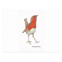 I Love Robins Postcards