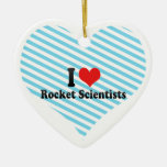 I Love Rocket Scientists Ornaments