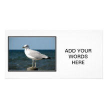 I love Seagulls! Custom Photo Card