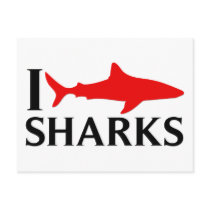 I Love Sharks Post Card
