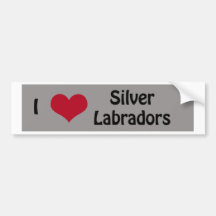 I love Silver Labradors Bumper Sticker