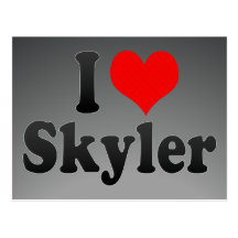 I love Skyler Post Card