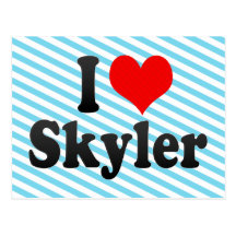 I love Skyler Post Card