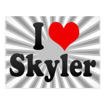 I love Skyler Postcard