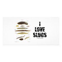 I Love Slugs (Naturalist / Nature)