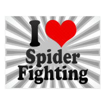 I love Spider Fighting Post Card