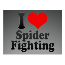 I love Spider Fighting Postcard