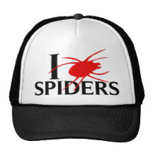 I Love Spiders Hat