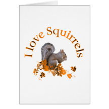 I Love Squirrels Card
