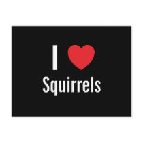 I love Squirrels