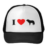 I Love St Bernards Hat